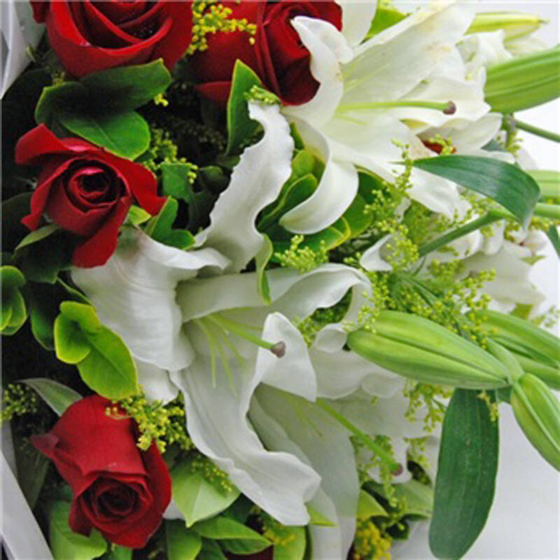 乐舞鲜花速递11朵红玫瑰花生日2枝百合花市区免费配送