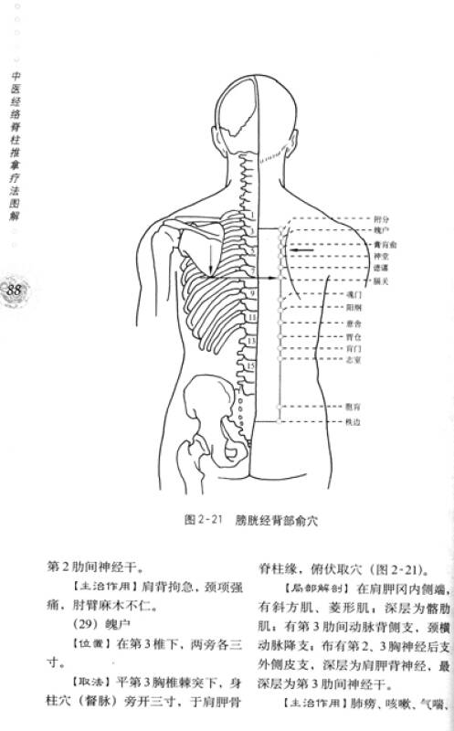 中医经络脊柱推拿法图解