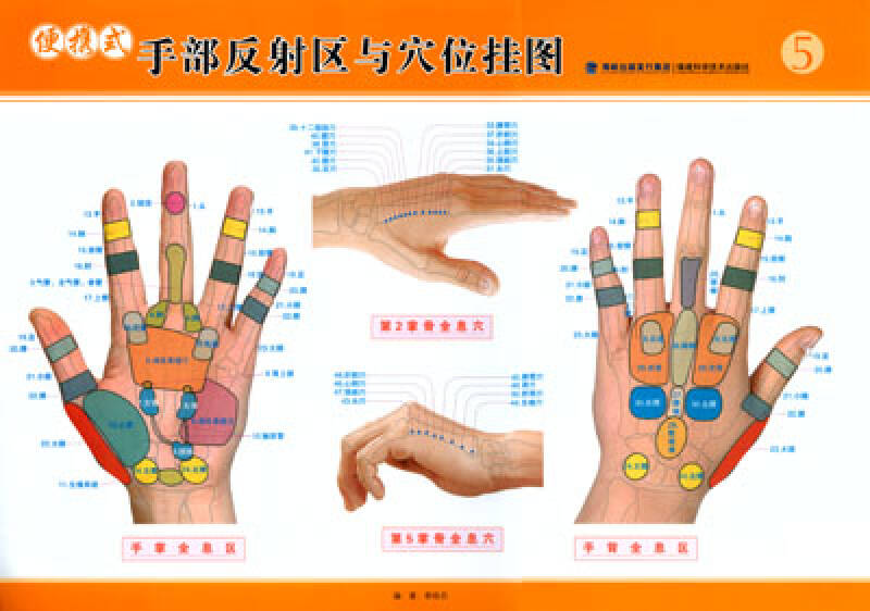 便携式手部反射区与穴位挂图(套装共4张)