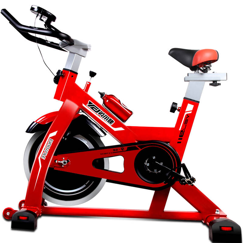 英尔健 健身车 家用动感单车超静 音室内健身器材 脚踏车 运动自行车