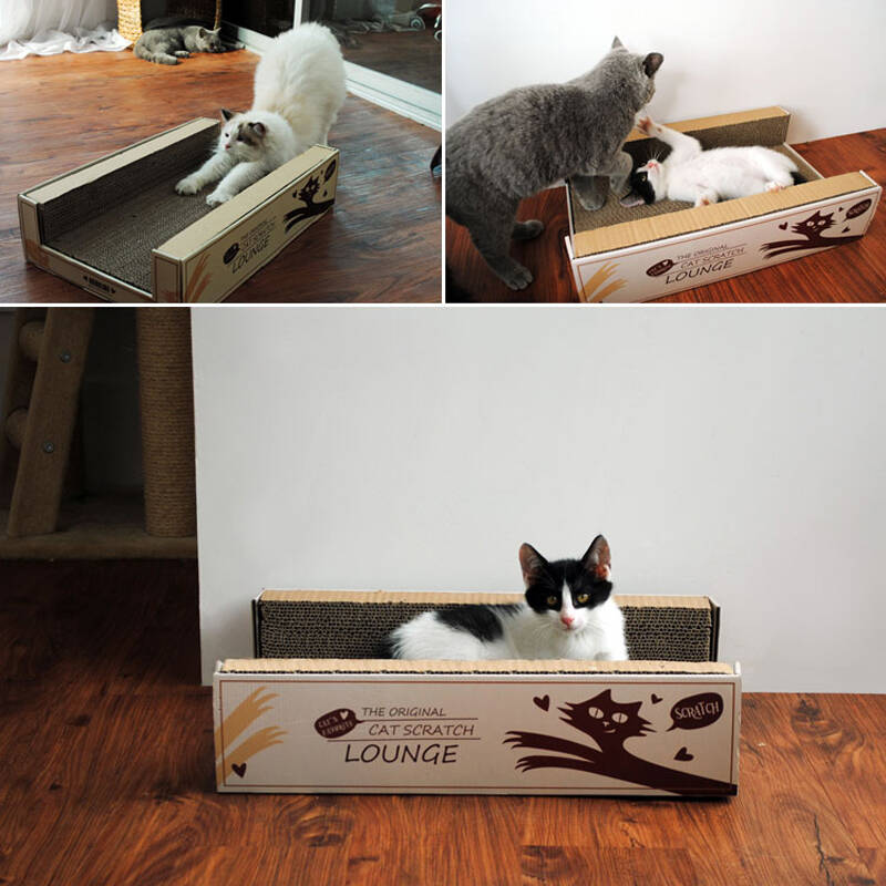 憨憨玩具猫抓板/小抓床/猫乐园猫爬架猫窝猫树大猫西安买大娃娃图片