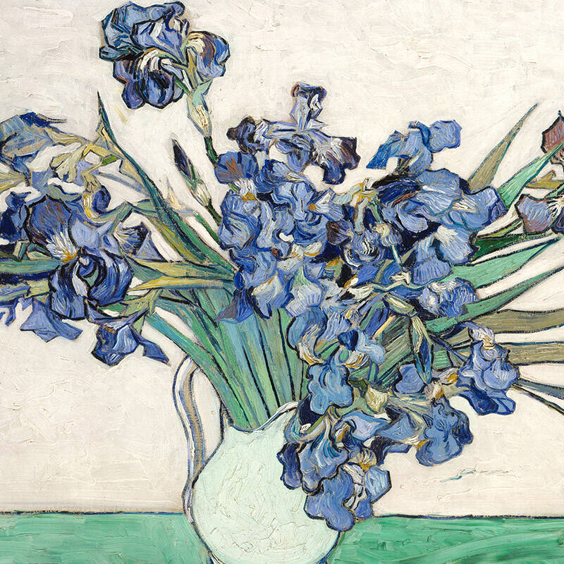 《鸢尾花》梵高