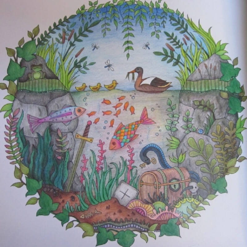魔法森林手绘本作品分享展示