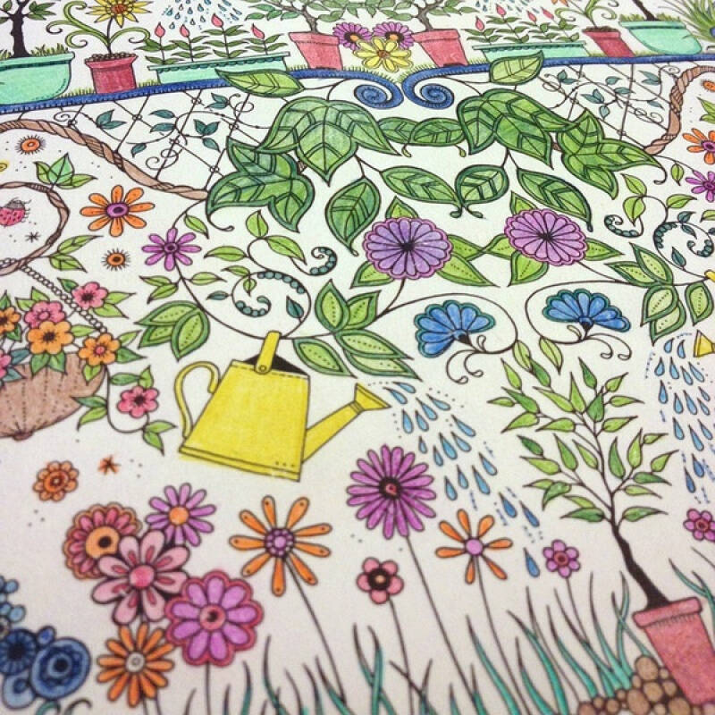 秘密花园一本探索奇境的手绘涂色书 秘密的庭院secret