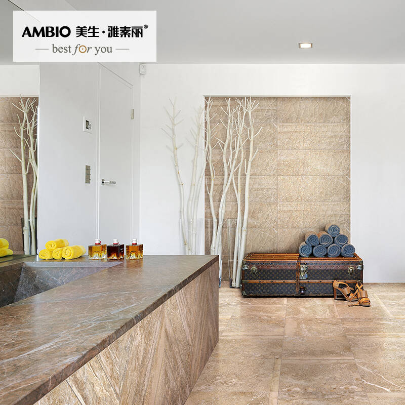 美生雅素丽 进口瓷砖 地砖 仿石材 客厅卫生间厨房 地板砖 欧式现代