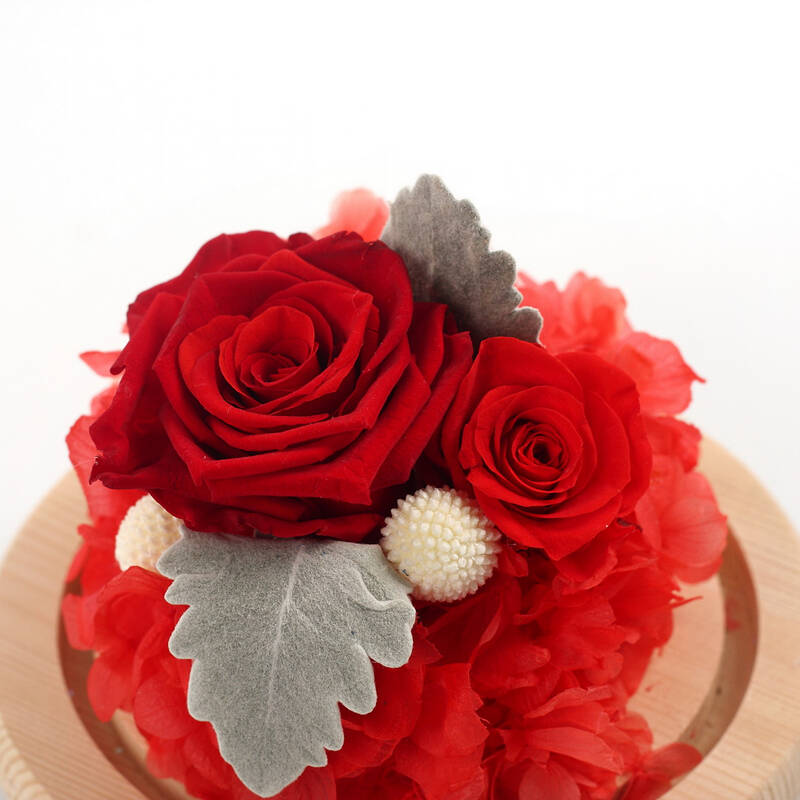 玻璃罩礼盒保鲜花 鲜花速递 情人节礼品 兰之馨 永生花 玻璃罩花红色