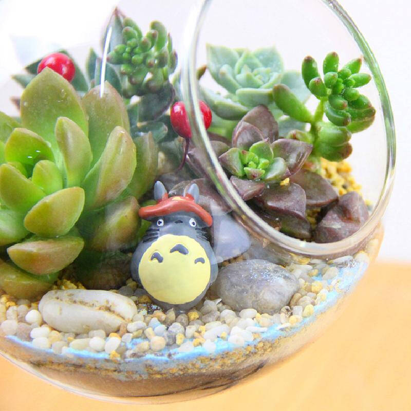 多肉植物盆栽组合微景观办公室盆栽绿色植物盆景送女朋友生日礼物