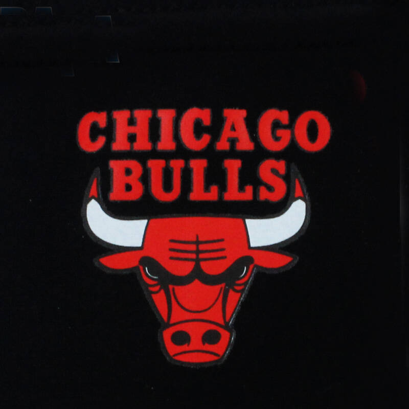 nba芝加哥公牛队篮球压力护臂 2只装 黑色ml