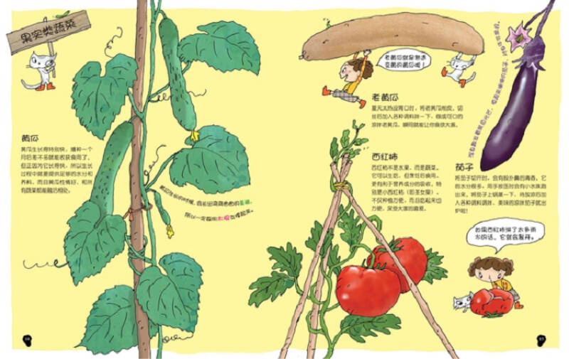 少儿科普绘本 亲子美食之旅(4册)6-12岁 来自韩国的儿童科普百科,让