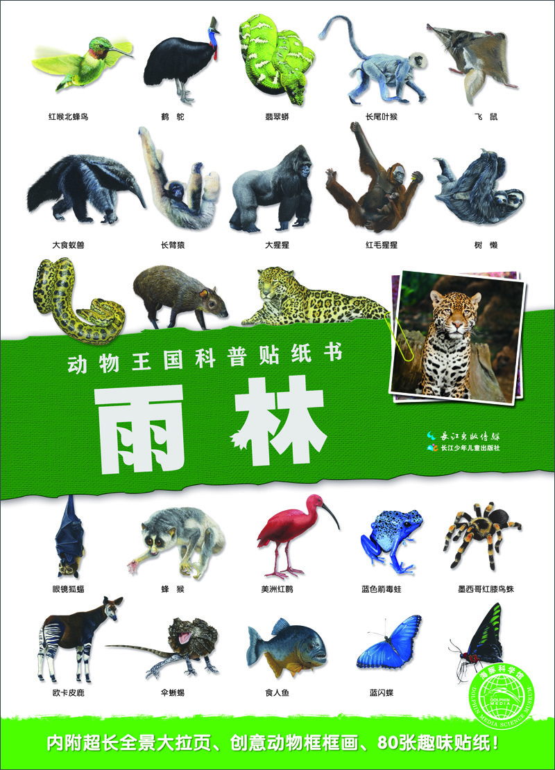 海豚科学馆:动物王国科普贴纸书(套装全5册)