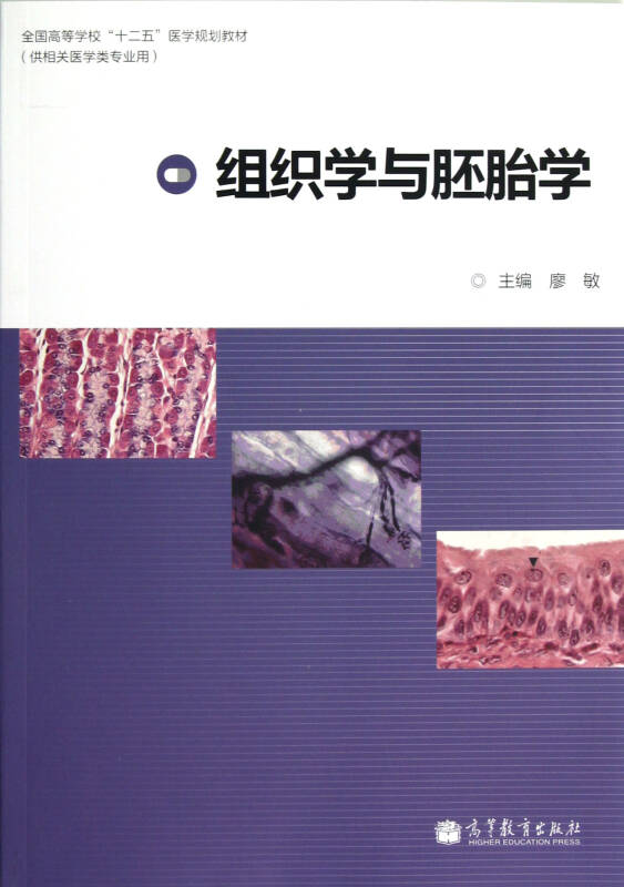 组织学与胚胎学 廖敏