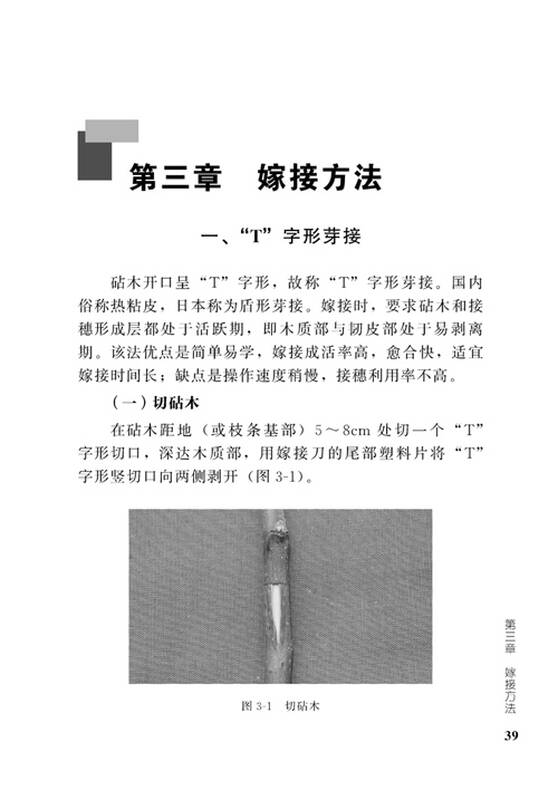 自营 果树嫁接50法图解