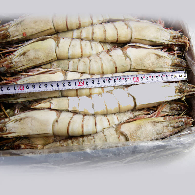 聚福鲜 缅甸冷冻大虎虾 18只 毛重5000g 净重3500g 海鲜水产 大对虾