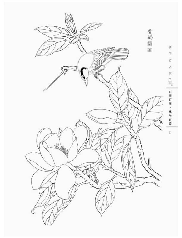 初学者之友·白描百图:花鸟百图