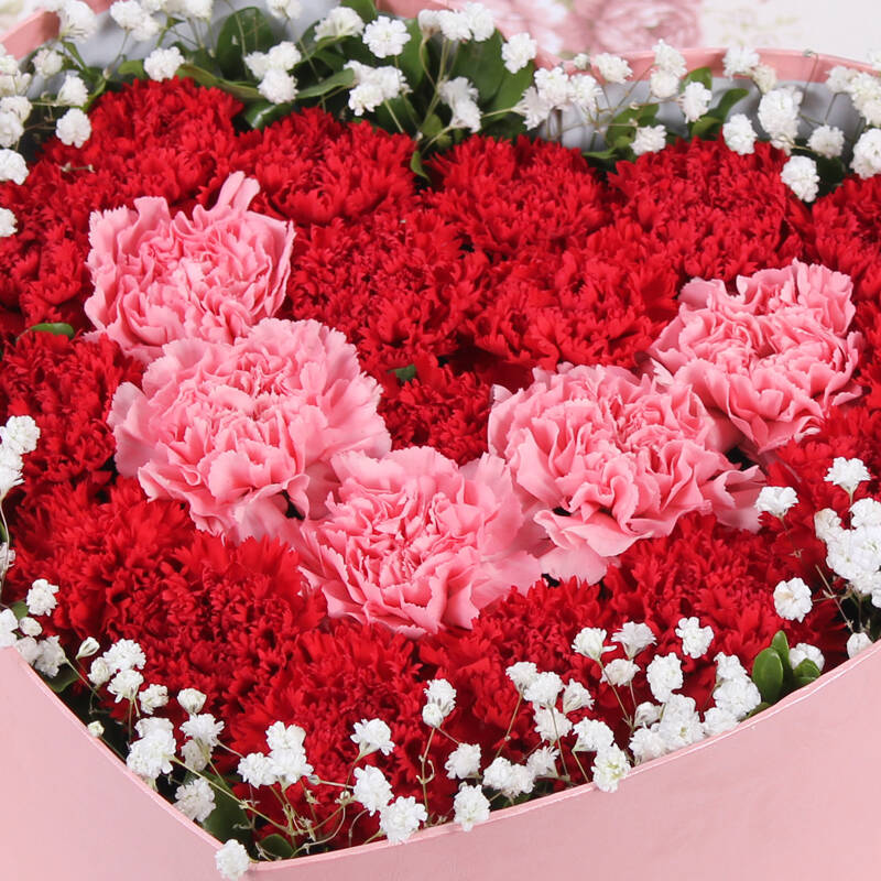 母亲节鲜花 生日礼物 鲜花快递 康乃馨礼盒 康乃馨花束 送妈妈鲜花 24