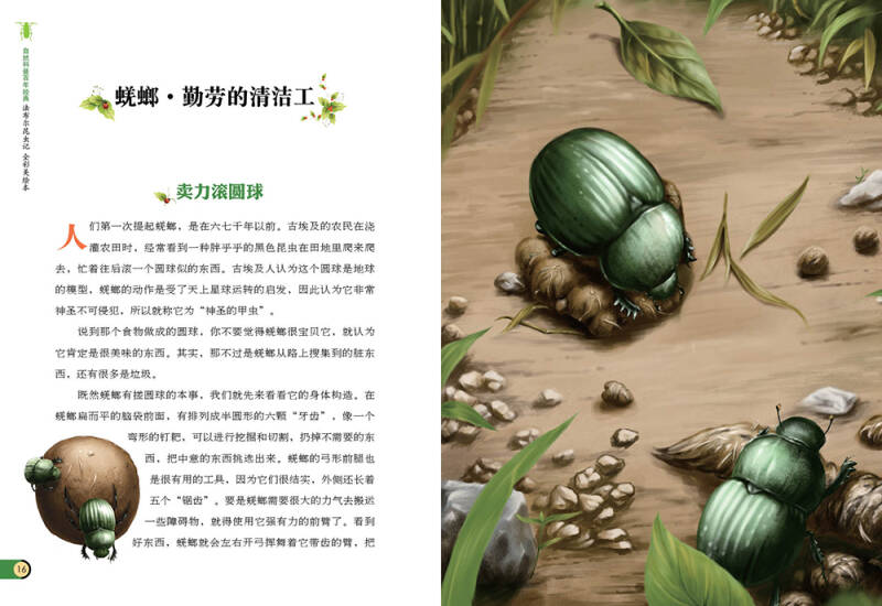 图说天下学生版 自然科普百年经典:法布尔昆虫记(全彩