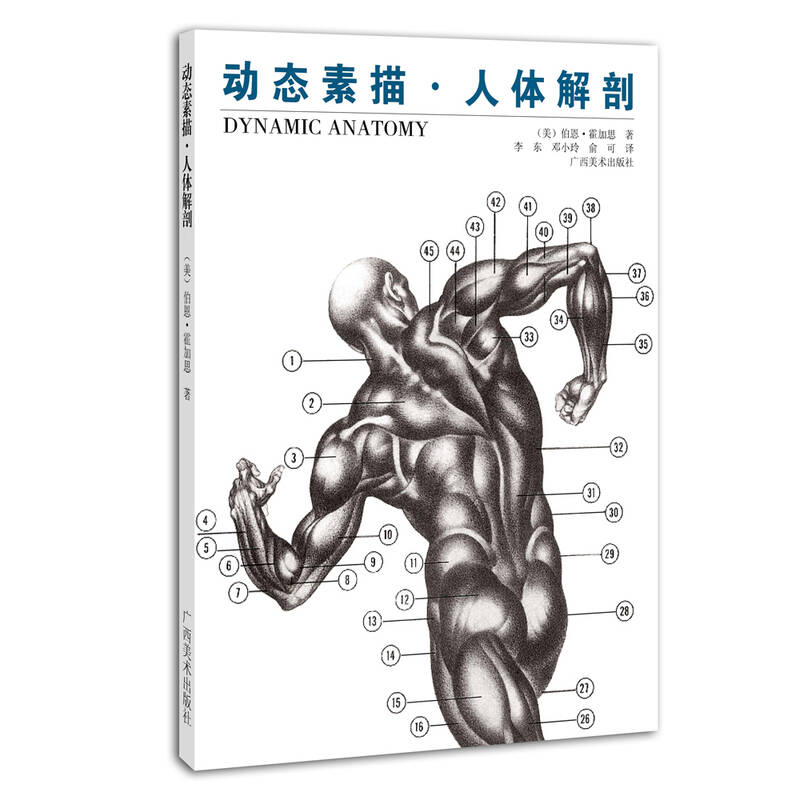 动态素描·人体解剖 自营