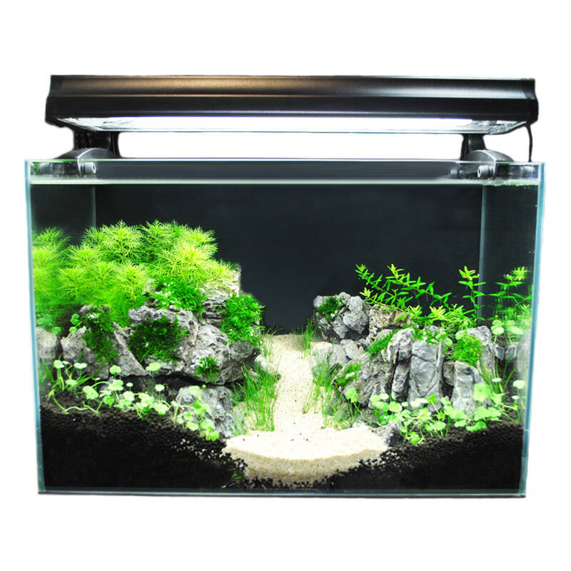 鱼缸水族箱迷你超白水草鱼缸 生态小型热带鱼缸45x27x