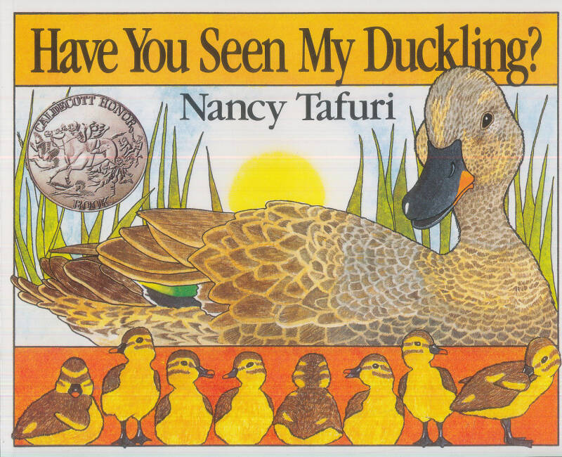 have you seen my duckling? 你见到我的小鸭子了吗? 英文原版