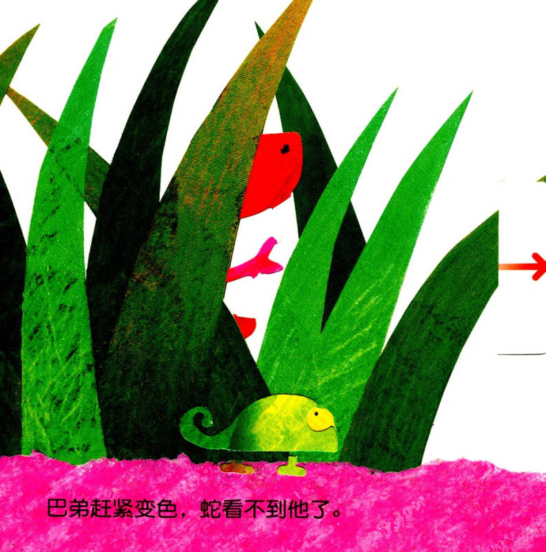 信谊绘本宝宝起步走:变色龙捉迷藏