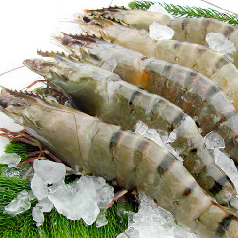 【加拿大馆】野生九节虾250g 海鲜水产 顺丰配送 虾类
