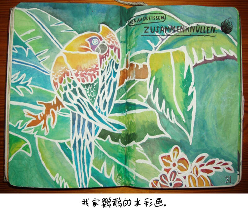 做了这本书