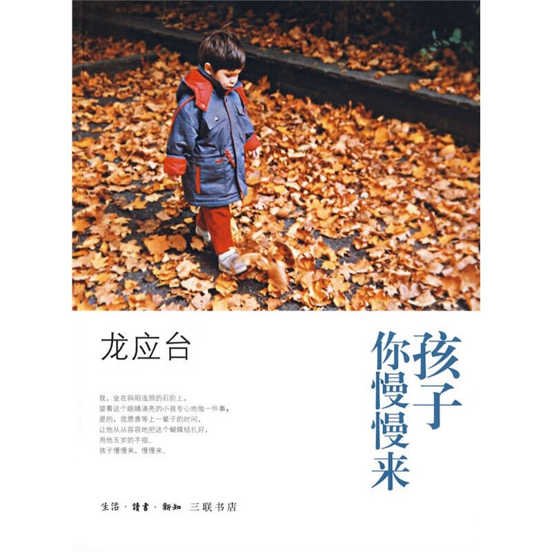 龙应台作品 全集(共4册 全套 套装) (《目送》《孩子你慢慢来》《亲爱