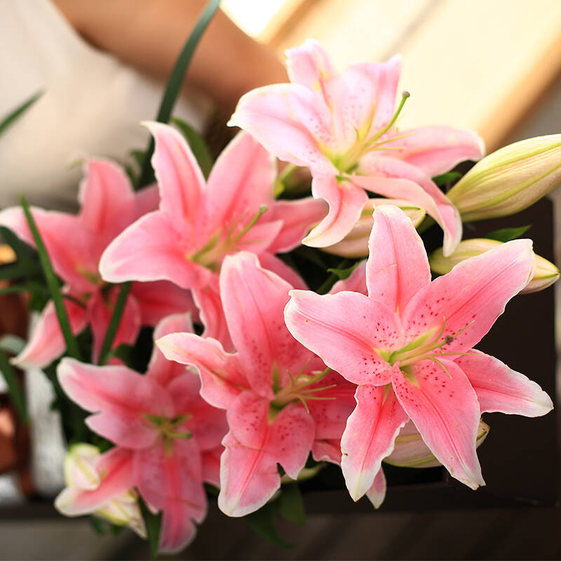 12朵百合花束花粉母亲节鲜花速递全国女生对待同城送香水爱情12朵天秤座鲜花配送百合图片