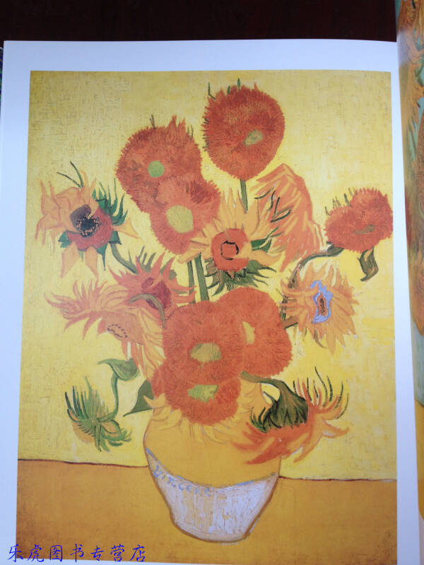 世界艺术巨匠-凡高 油画册星空 向日葵风景梵高作品集9787534431890 - 京东