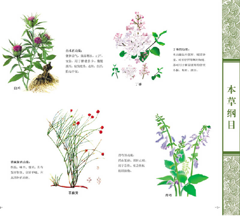 本草纲目 李时珍原着 黄帝内经伤寒论神农本草经千金方中医中草药养生