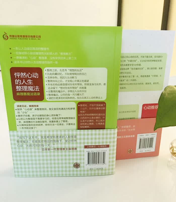 整理魔法 怦然心动的人生整理魔法2(套装全2册)