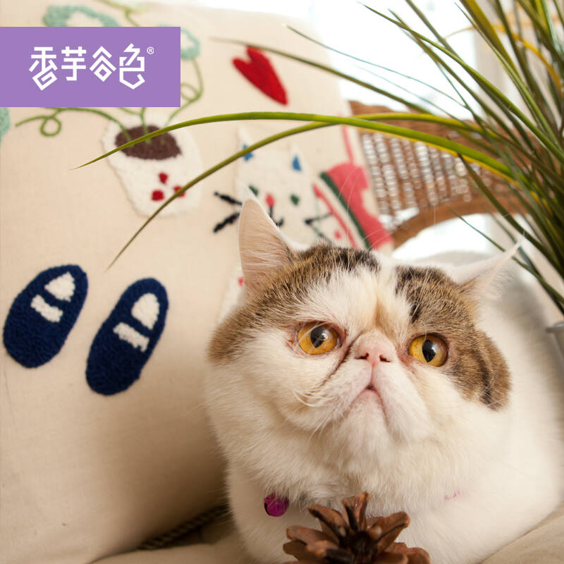香芋谷色 可爱卡通猫咪沙发靠垫大号 鲁绣田园风沙发靠枕套 兜福.