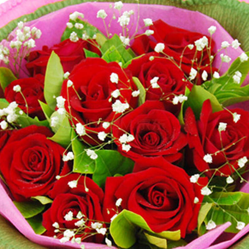 【颜木槿】妇女节鲜花速递预玫瑰花束生日礼物鲜花速递 红玫瑰花11枝