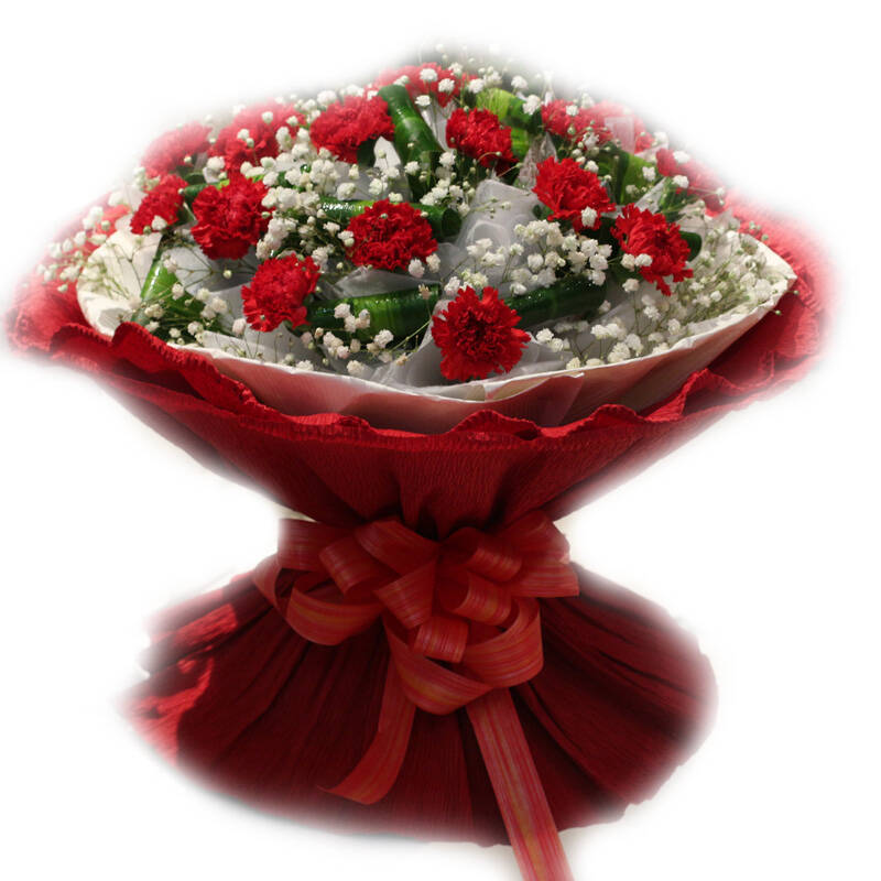 礼盒鲜花花束 生日鲜花预定 长辈生日送花 19朵红色康乃馨j款