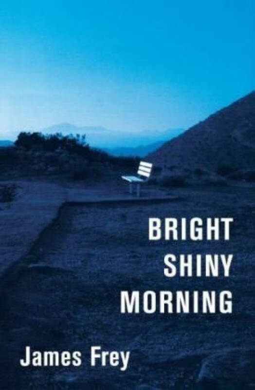 bright shiny morning intl 京东自营