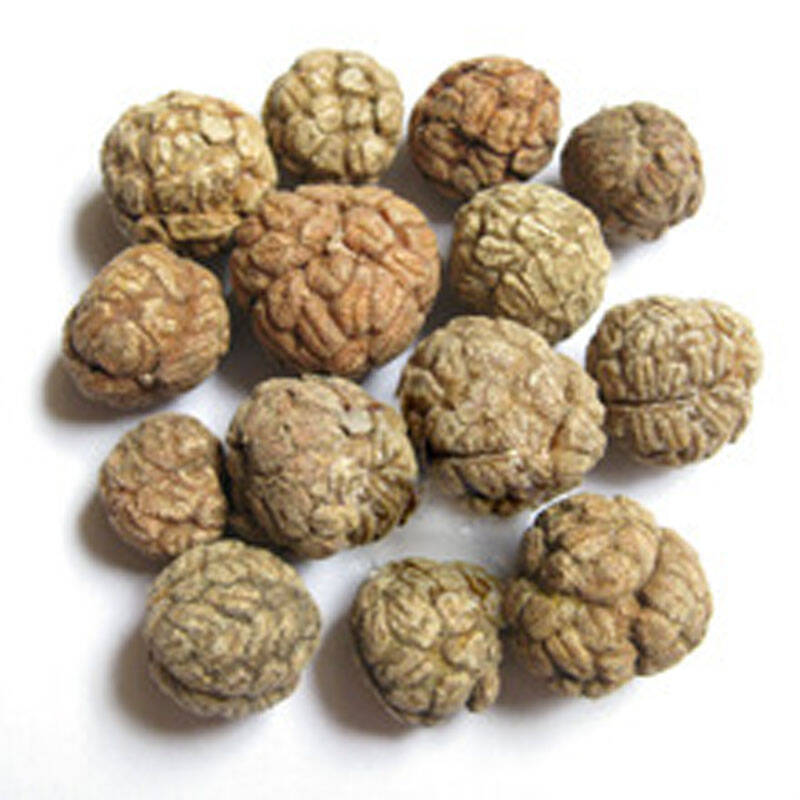 瑞麦丰 草豆蔻 新品上市 香料 草蔻仁 老蔻 草寇 老扣