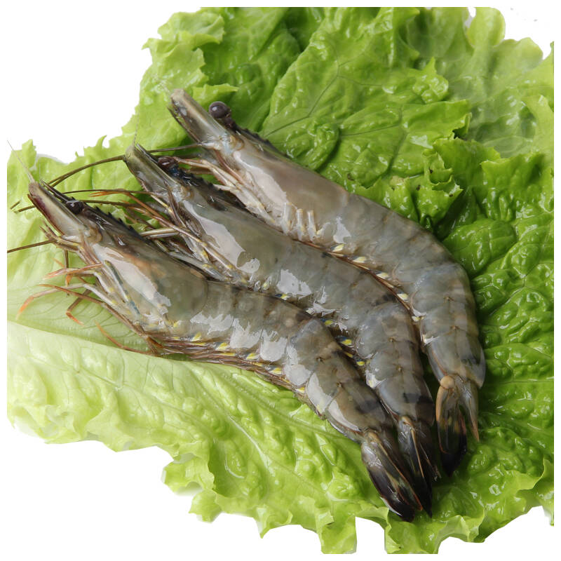 沙沫 冷冻野生虎虾 15只 约500g 海鲜水产