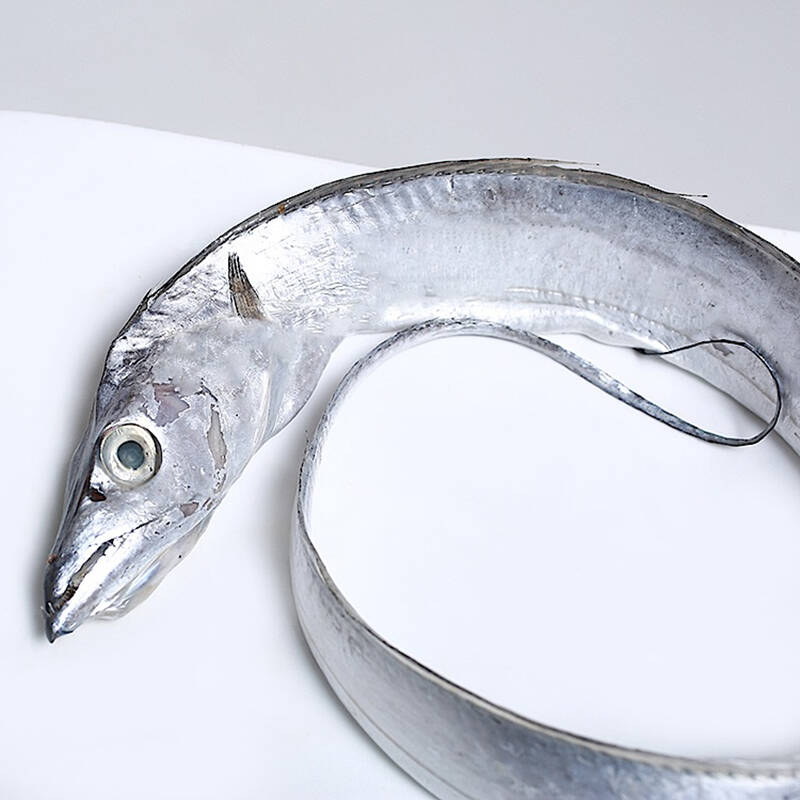 深态 印尼冰鲜 带鱼 800-900g/条 海鲜水产非冰冻带鱼