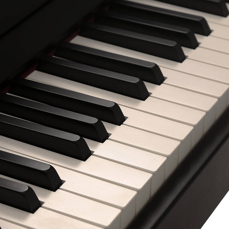 多功能立式成人88键重锤 家用智能数码电子钢琴 rp501r-cb黑色 配件