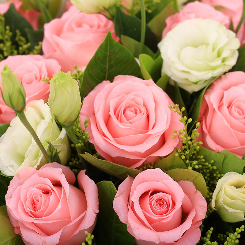 真爱 鲜花速递19朵粉玫瑰 生日鲜花送女友创意礼物 全国鲜花店订花