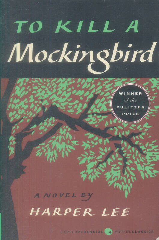 to kill a mockingbird 杀死一只知更鸟 英文原版