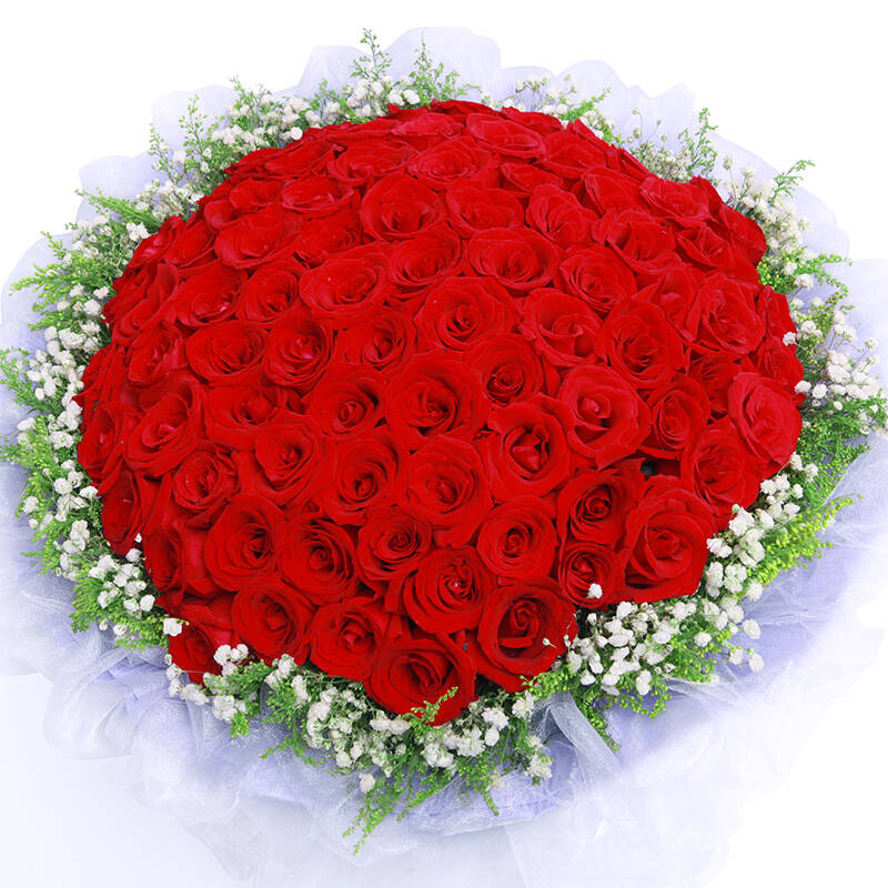 早上好 玫瑰花鲜花展示