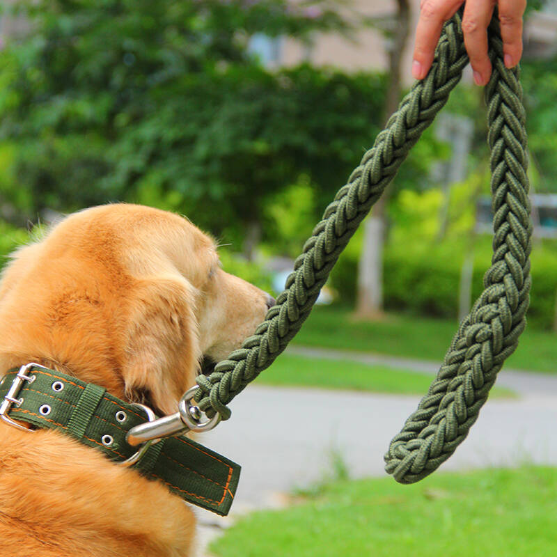 宠物牵引绳 中大型犬项圈牵引带套装 哈士奇金毛萨摩狼狗藏獒颈圈