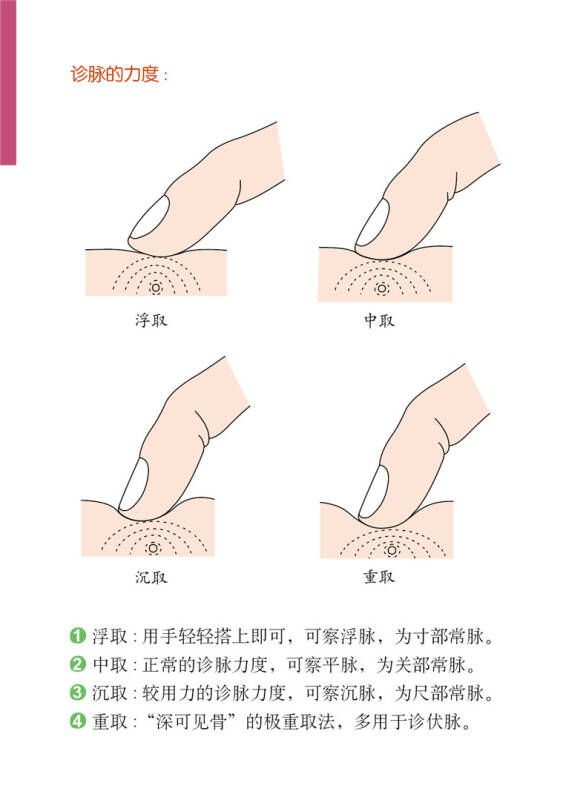 中医脉诊一点通