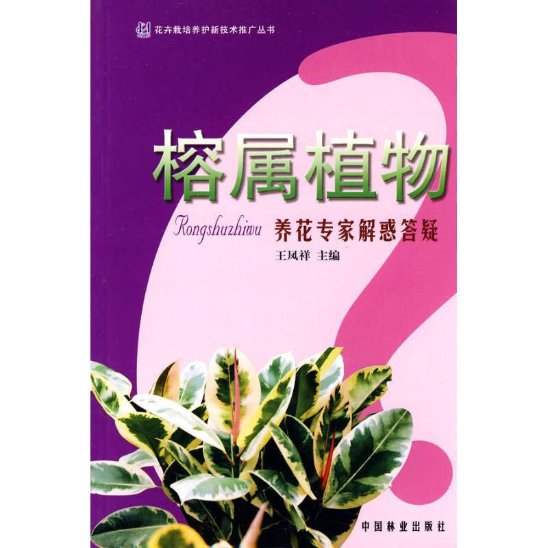 榕属植物养花专家解惑答疑 花卉栽培养护新技术推广丛书 王凤祥 建筑