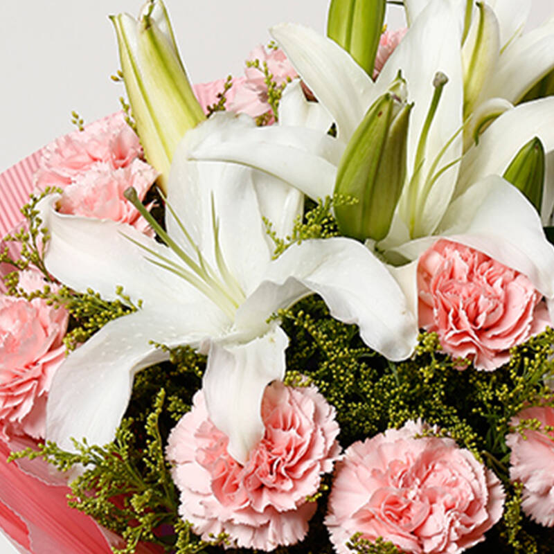 鲜花速递19朵康乃馨百合花束 母亲节订花送妈妈生日礼物北京上海广州
