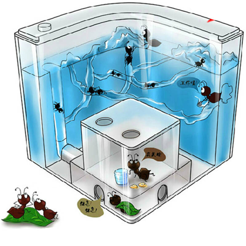 奇特创意玩具蚂蚁城堡宫殿工坊别墅宠物蚁巢带夜光种植功能 送蚂蚁