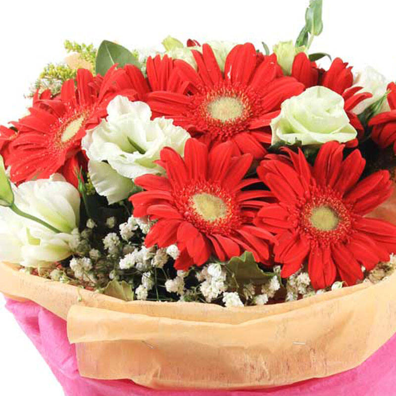 【真爱】鲜花速递 父亲节祝福鲜花 送长辈送朋友 太阳