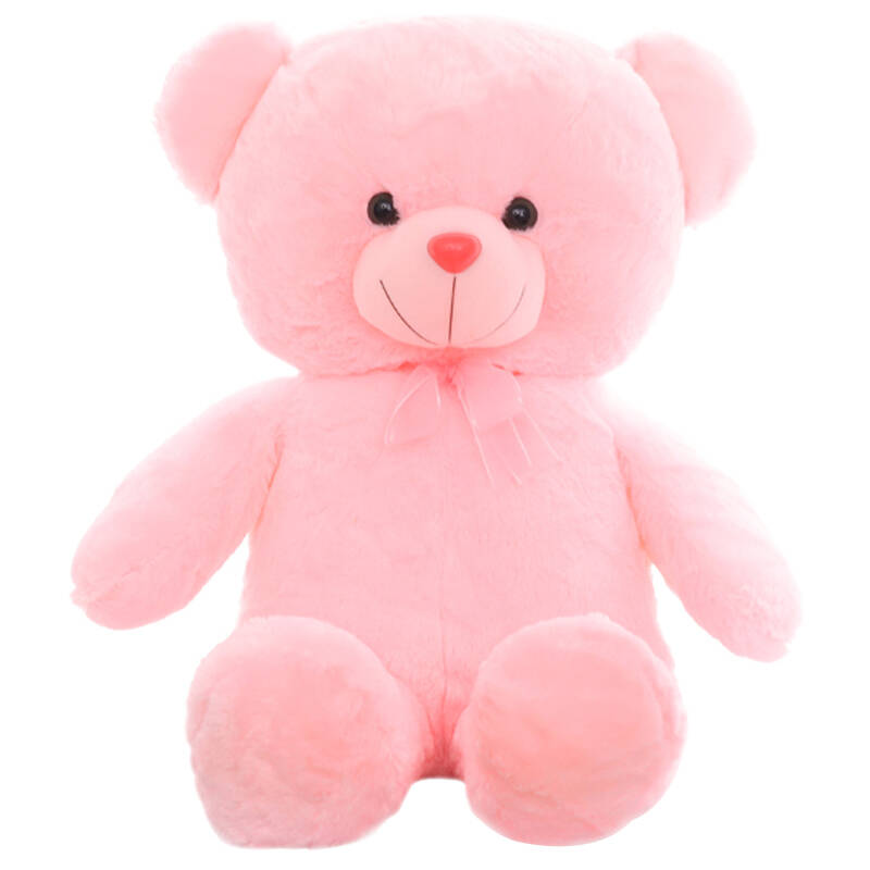 泰迪熊公仔毛绒玩具抱抱熊可爱布娃娃玩偶公仔 粉色可可熊 1.