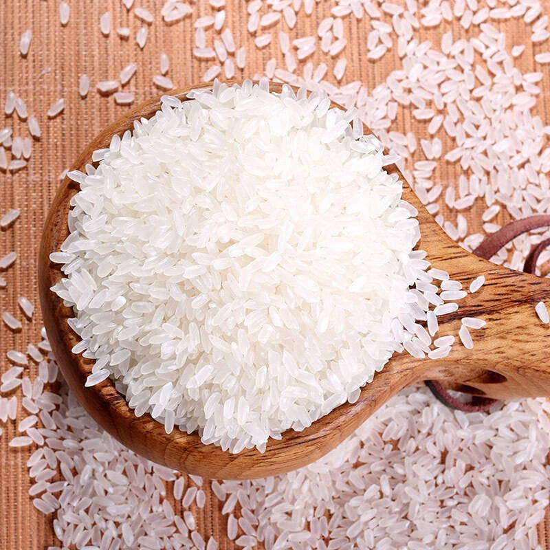 自然农法五常有机稻花香400g 五常 东北大米 长粒香